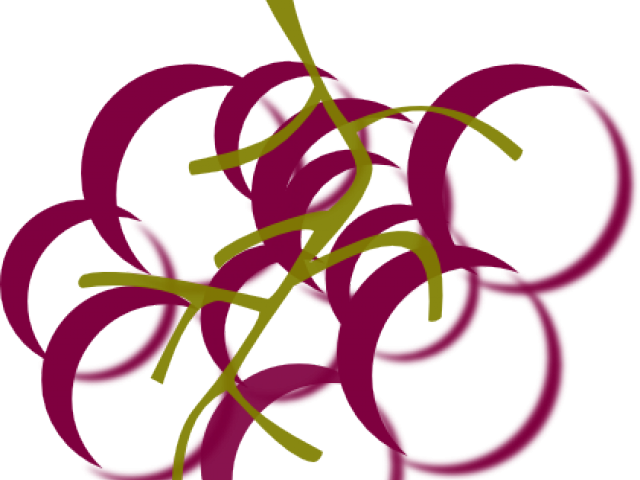 Vineyard Clipart Transparent - Wine Vines Clip Art (640x480)