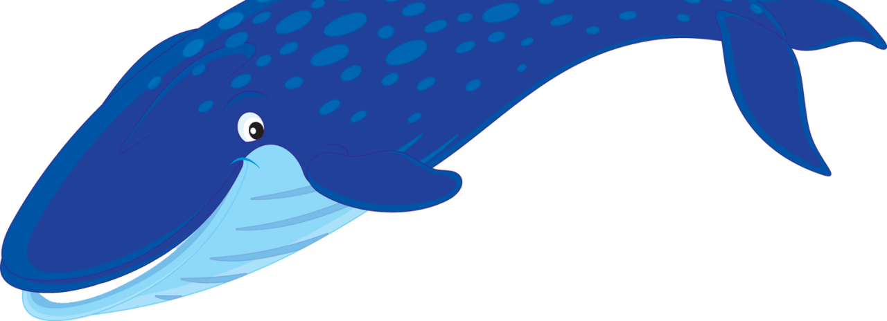 Blue Whale Cartoon - Blue Whale Cartoon (1280x464)