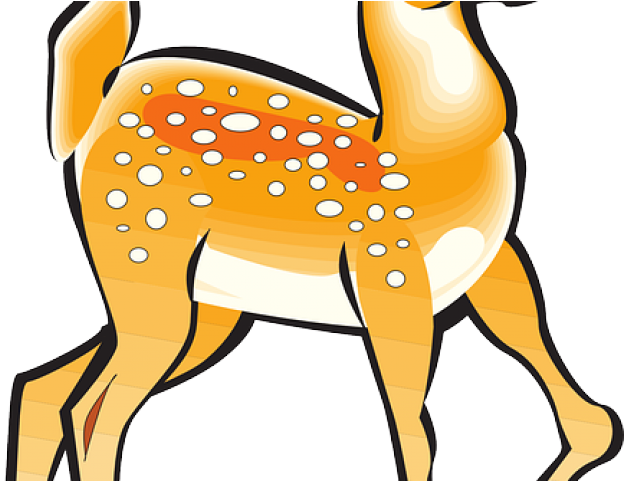 Legs Clipart Deer - Deer Clipart Gif (640x480)