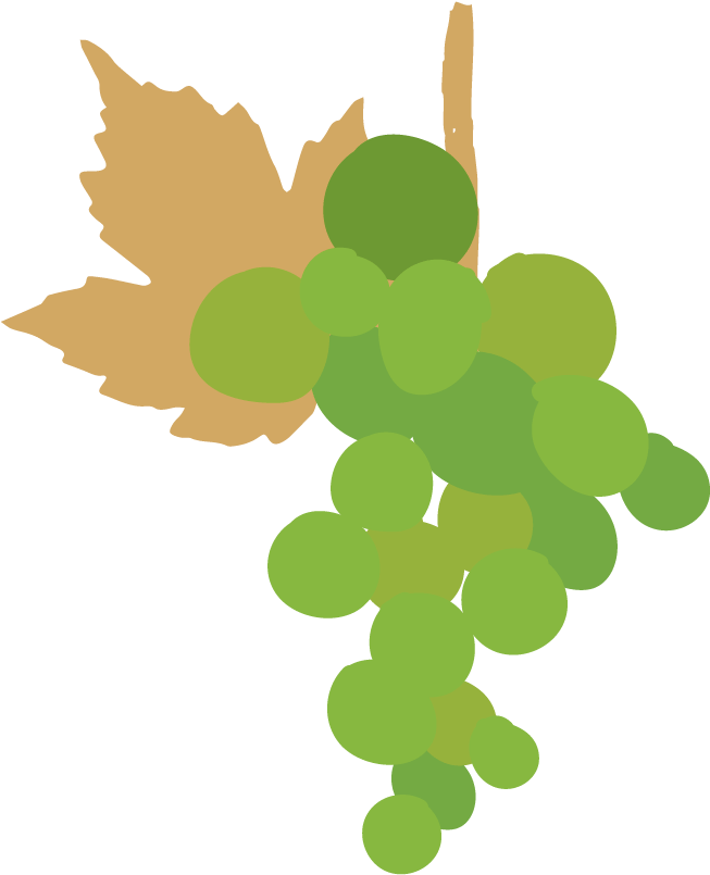Condition For Grapes To Stay Longer In The Vine And - Clip Art Grape Leaves (792x884)