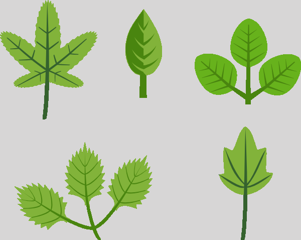 Leaves Clip Art (600x478)