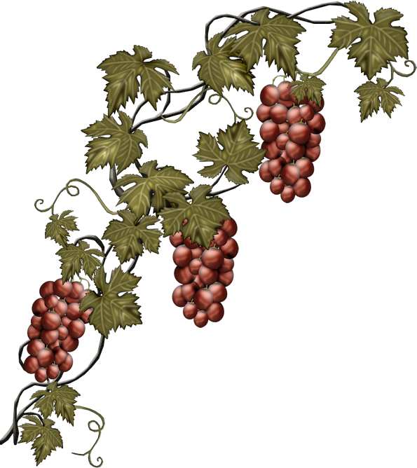 0 84346 4c7ad0eb Orig - Grapes Stickers (595x668)