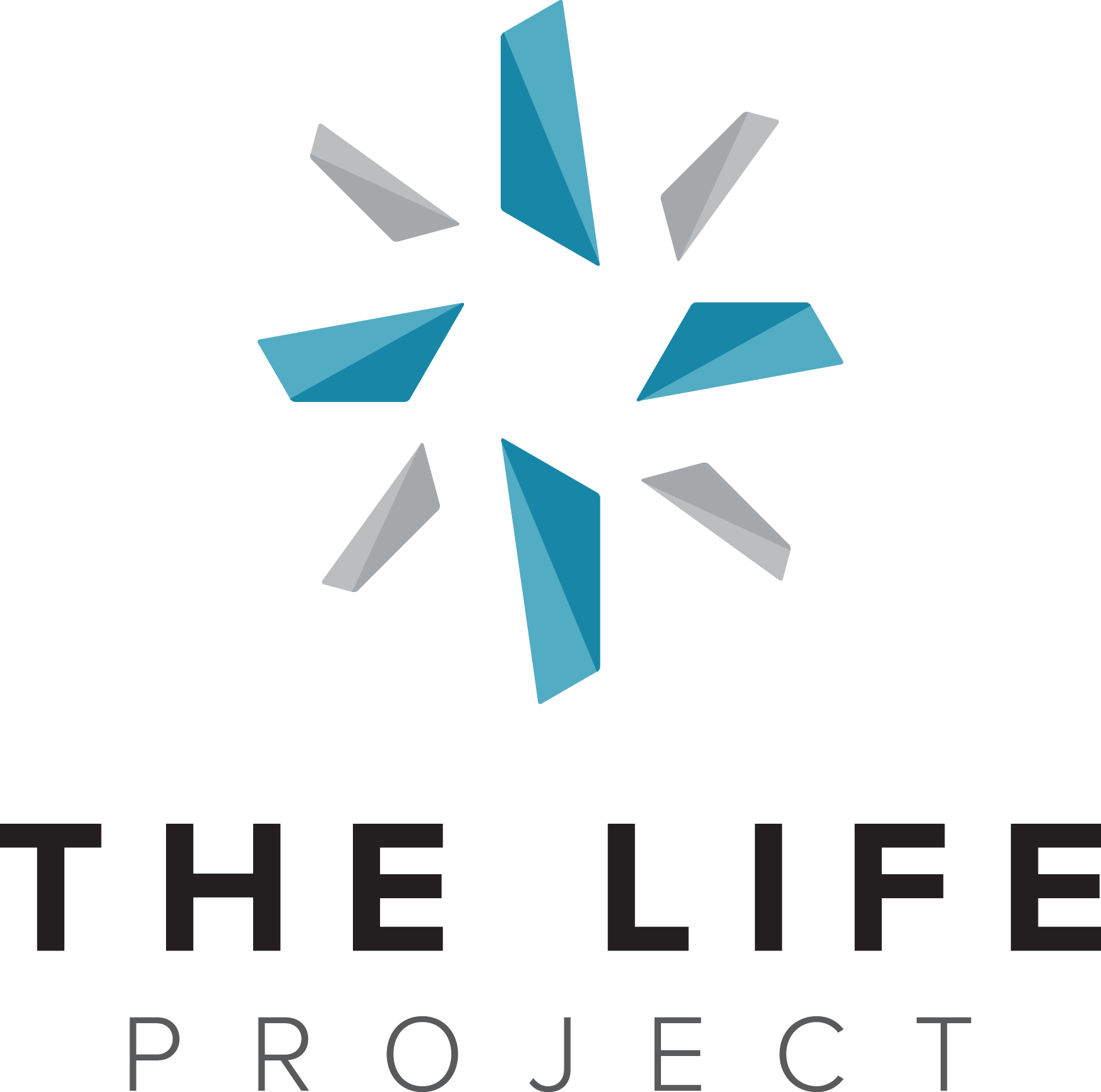 The Life Project - Graphic Design (1744x1730)