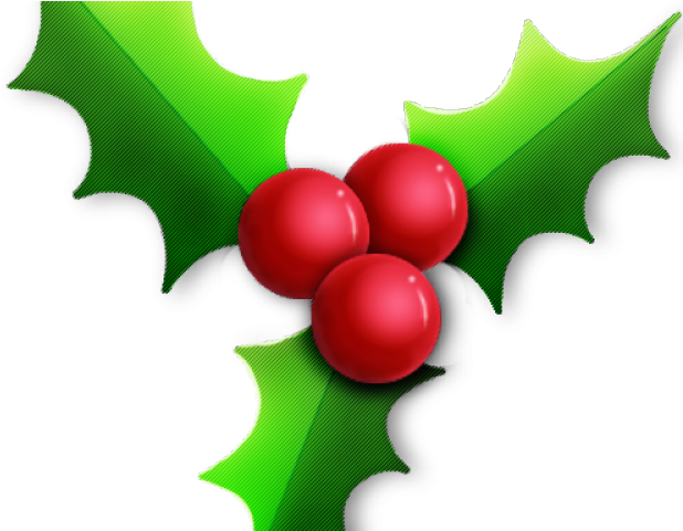 Pictures Of Holly - Christmas Greetings For Partners (640x480)