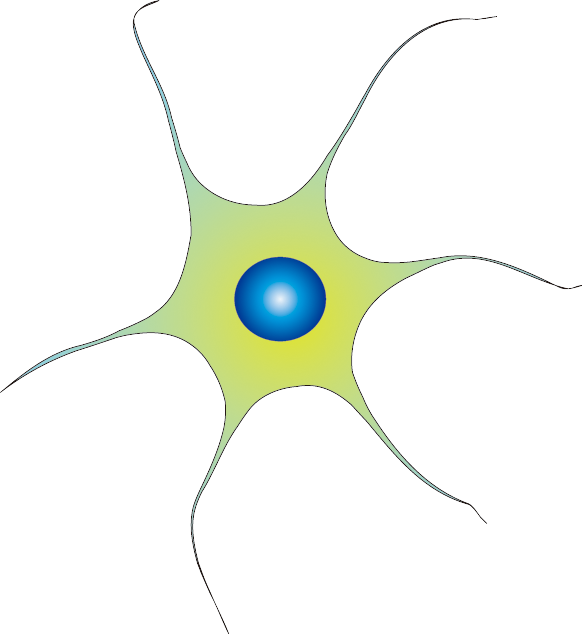 201102 Neuron - - Circle (582x634)