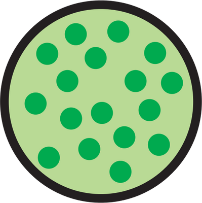 Ian Symbol Concentration High Chlorophyll - Chlorophyll Symbol (399x400)