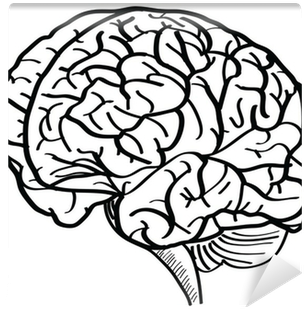 Human Brain Vector Outline Sketched Up - Brain Vector Png Hd (400x400)