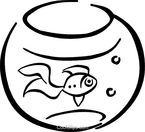 Gold Fish Royalty Free Vector Clip Art Illustration - Circle (480x439)