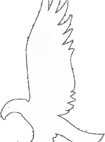 Black Eagle Clipart Ravenclaw - Red Shouldered Hawk (640x480)