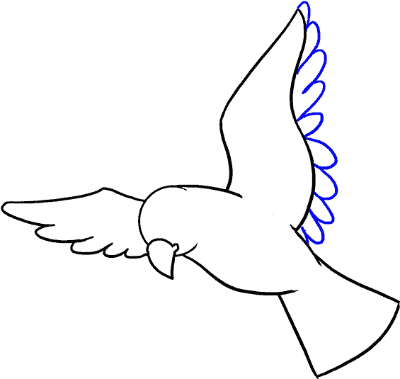 Blue Drawing Freedom - Bird Drawing (678x600)