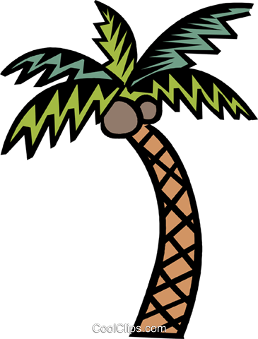 Palm Árbol Libres De Derechos Ilustraciones De Vectores - The Cay (365x480)