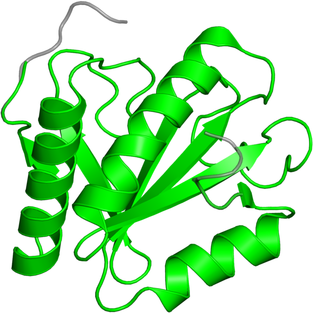 <div Class='caption-body'>1 Copy Of Pfam Domain - Graphic Design (800x800)