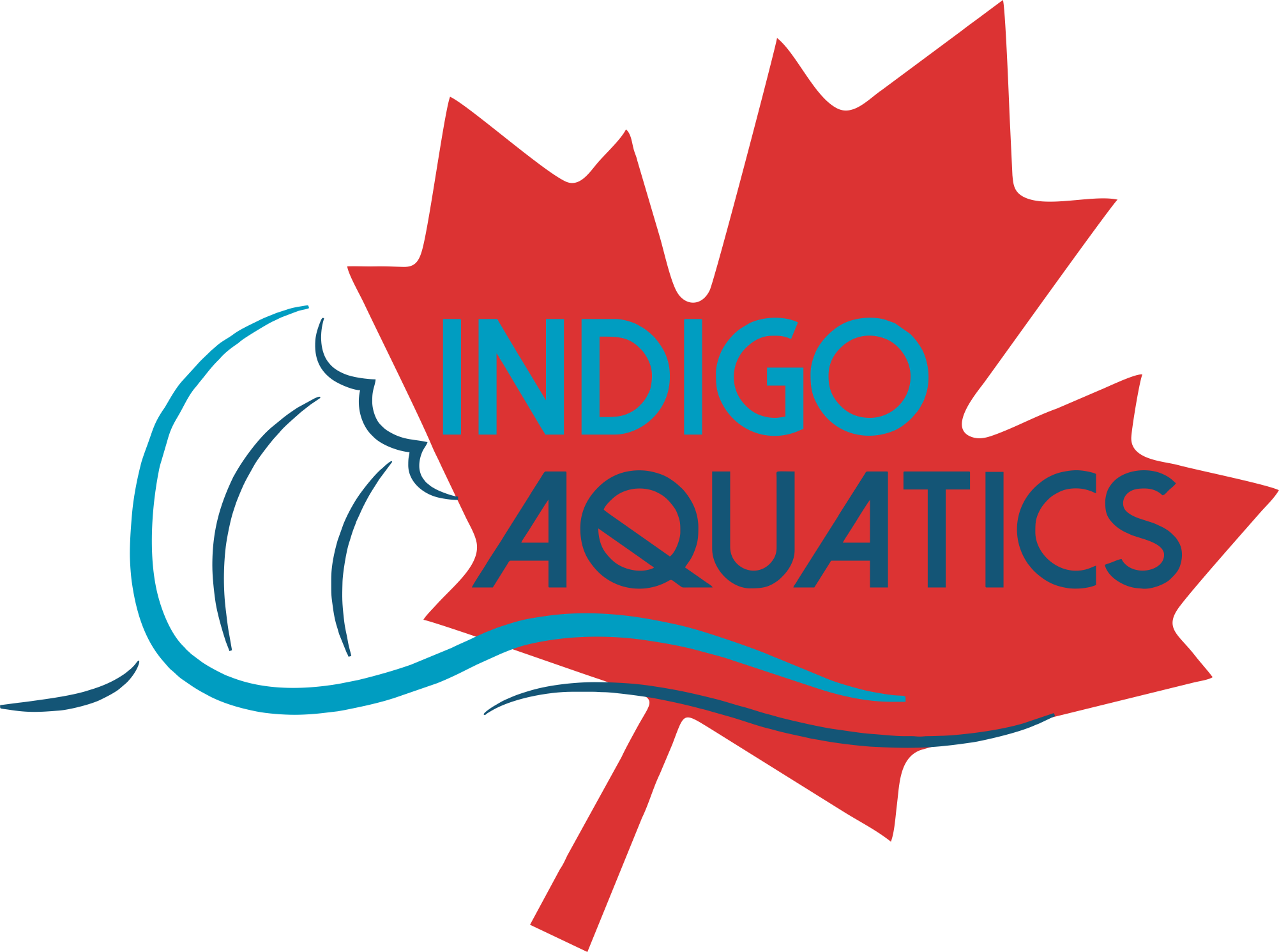 We Are A Business Devoted To Giving People The Very - Transparent Canada Maple Leaf (2003x1490)