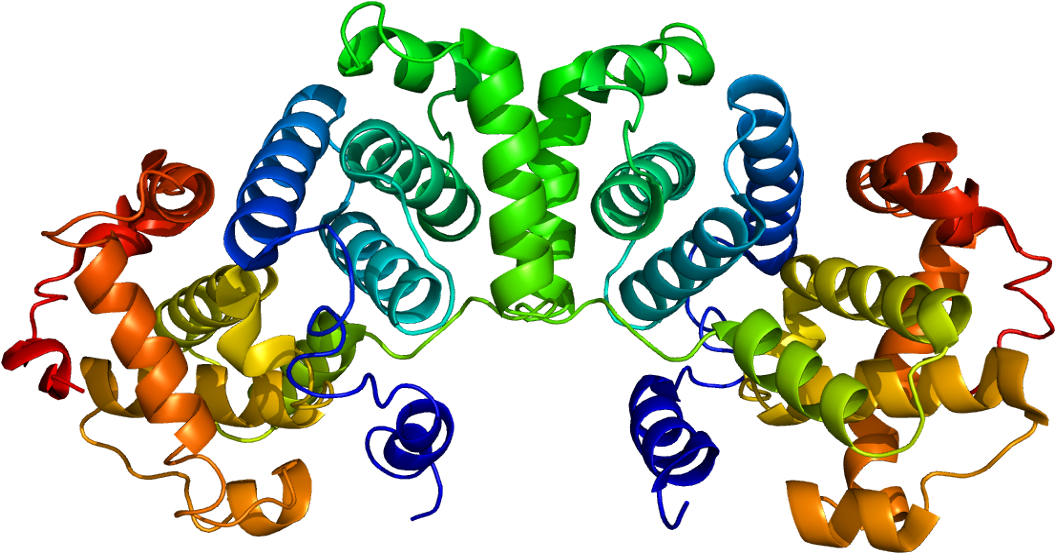 Cyclin B Protein (1104x602)