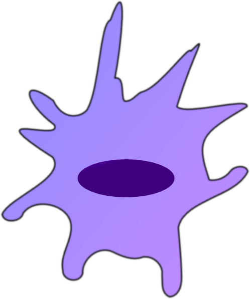 Macrophage Clipart (498x597)