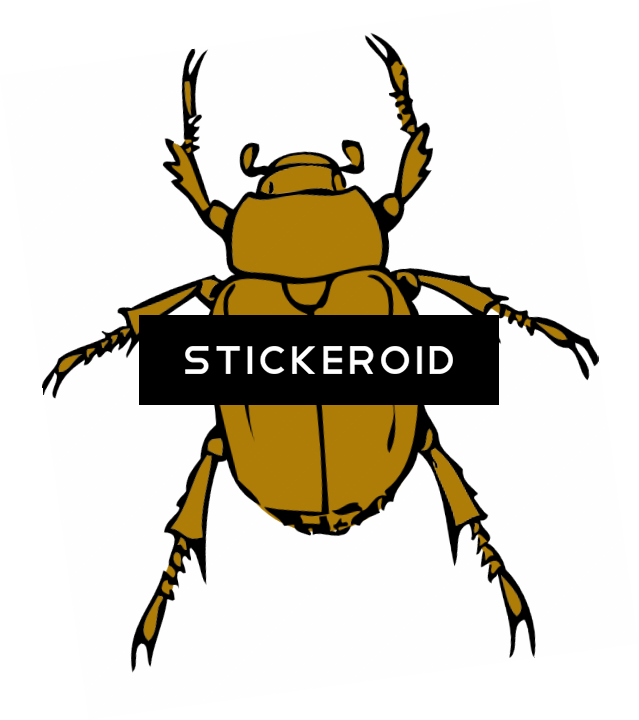 Beetle Bug Clip Art Bugs - Clipart Insect (639x720)