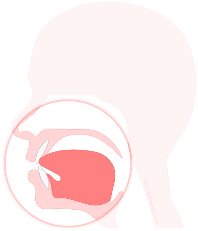 S Sound Mouth Position (400x467)