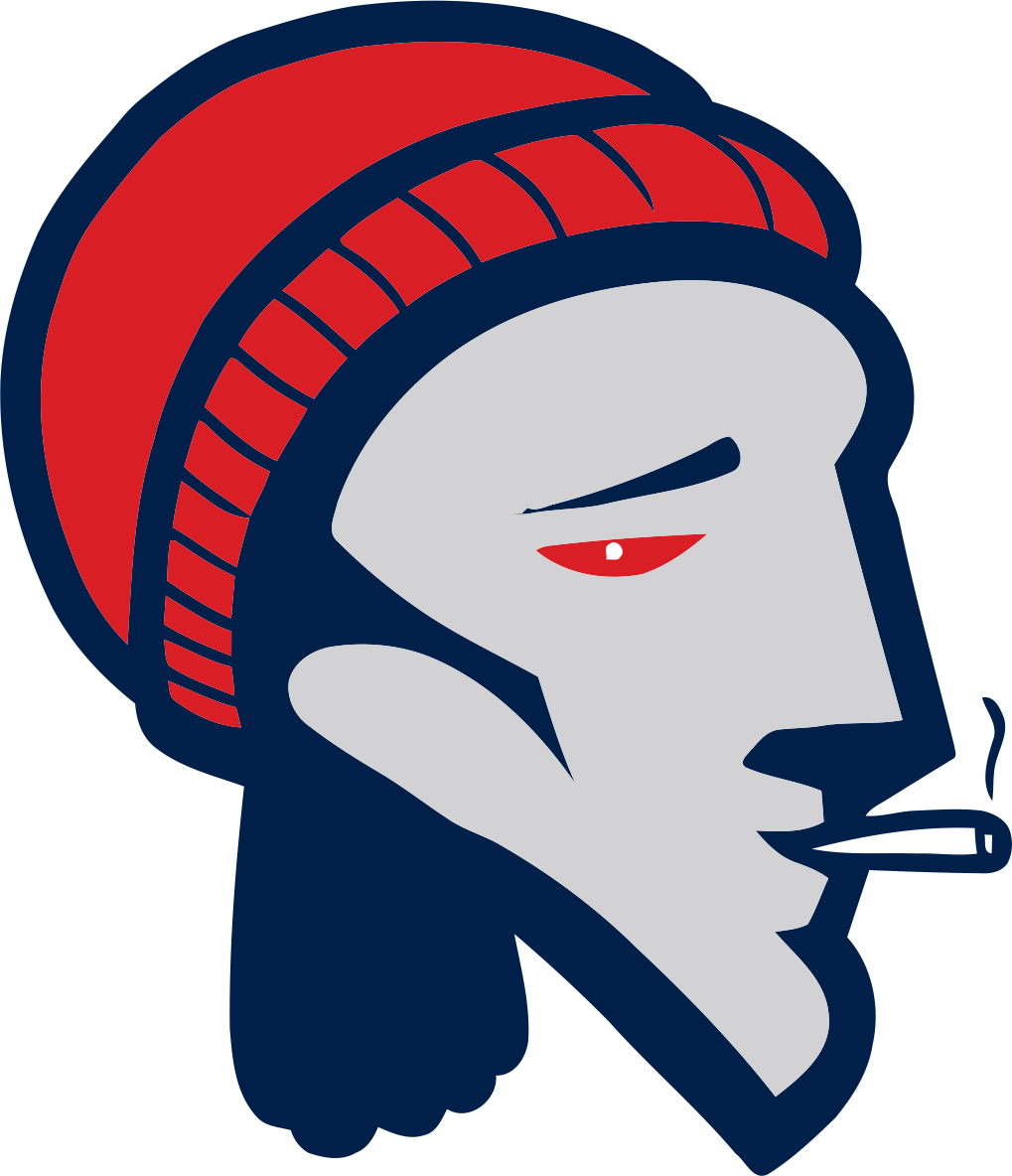 New England Patriots Smoking Weed Logo Iron On Transfers - Patriots Weed (1019x1184)