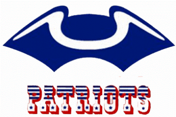 New England Patriots Iron On Stickers And Peel-off - Emblem (350x435)