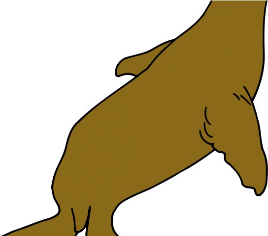 Seal Clipart Colour - Seal Clipart Colour (640x480)