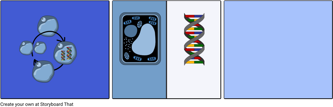 Dna And Cell Cycle By Victor And Abel - Graphic Design (1164x385)