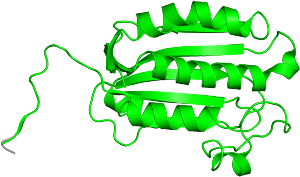 <div Class='caption-body'>1 Copy Of Cath Domain < - Illustration (800x800)