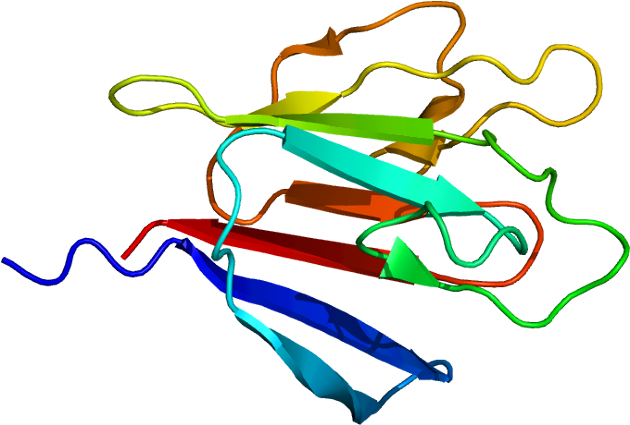 Ki-67 - Graphic Design (679x474)