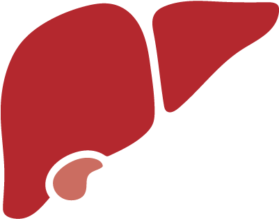 Hepatic (400x400)