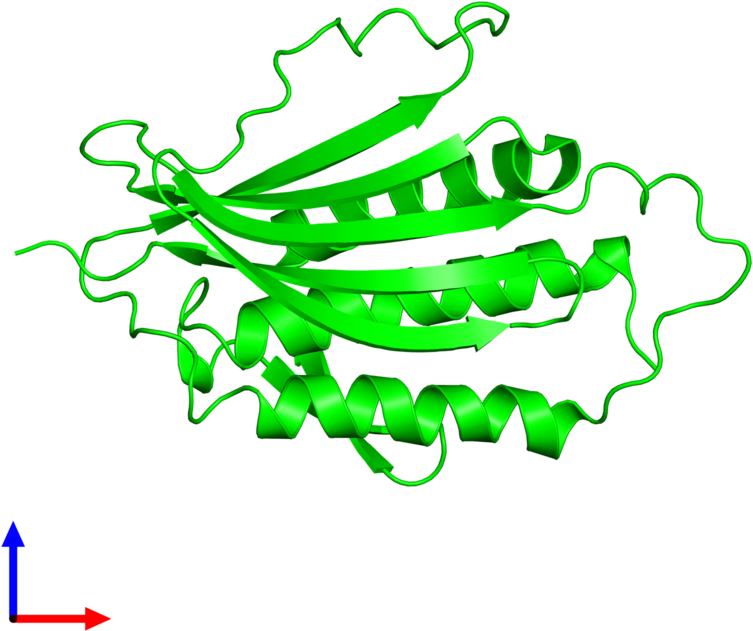 <div Class='caption-body'>1 Copy Of Cath Domain < - Illustration (800x800)