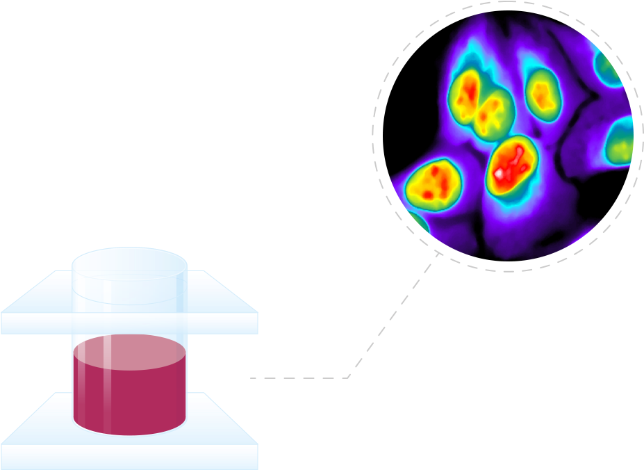 This Dual Compartment Label Provides Rapid, One Step - Graphic Design (933x687)