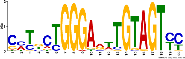 Motifs Enriched In The Top 500 Chip-seq Peaks - Motifs Enriched In The Top 500 Chip-seq Peaks (623x212)