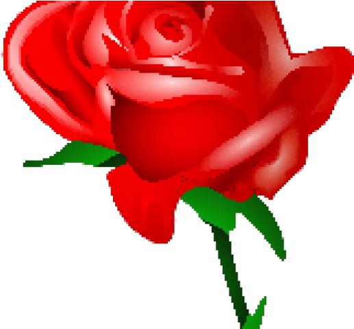 Red Rose Clipart Rad - Cartoon Red Rose Png (640x480)