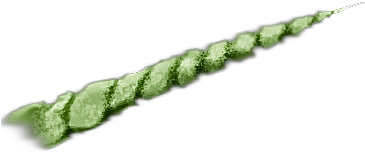 Horn Black And White Clipart - Tanduk Unicorn (400x300)