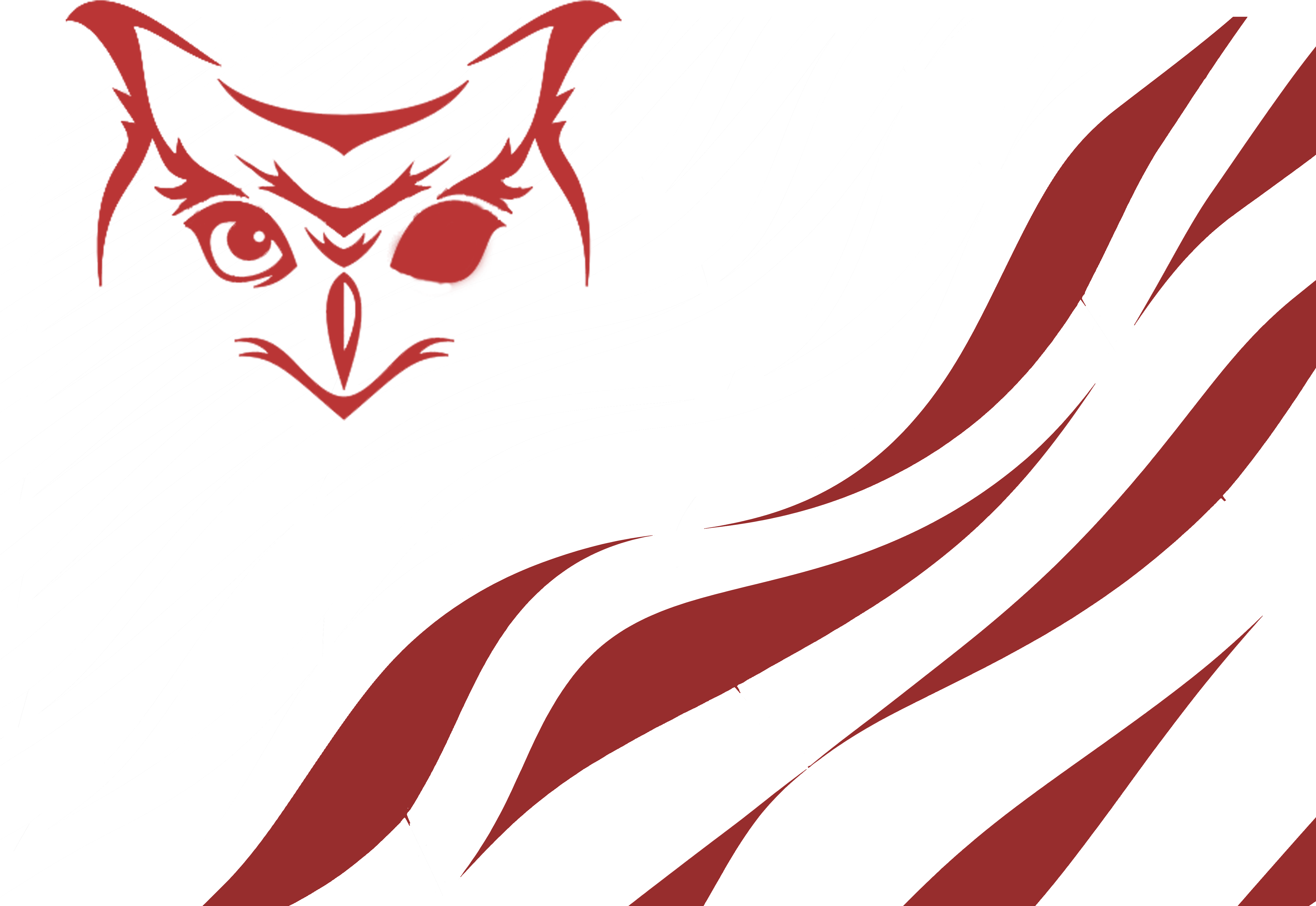 2019 At - Owl Face Drawing Simple (5184x3832)