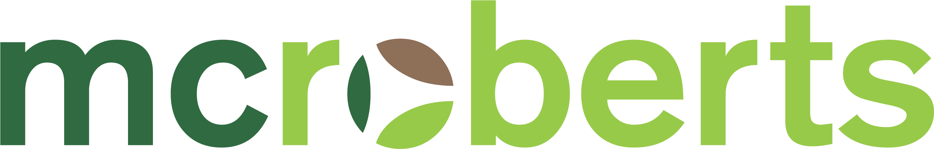 Publications Archive - Mcroberts Bv (3044x492)