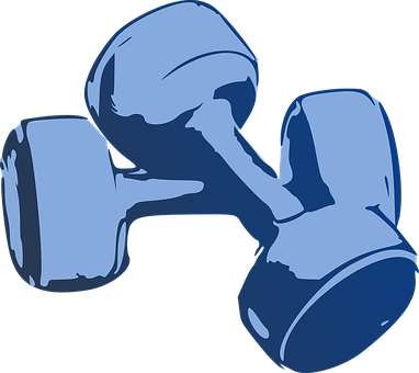 Dumbbell, Fitness, Hantelki, Gym - Dumbbell, Fitness, Hantelki, Gym (382x340)