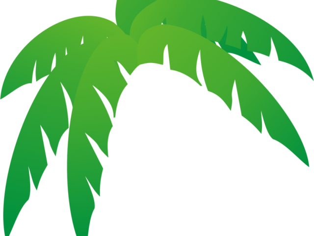 Palm Tree Clipart Leaves - Palm Frond Palm Tree Leaf (640x480)
