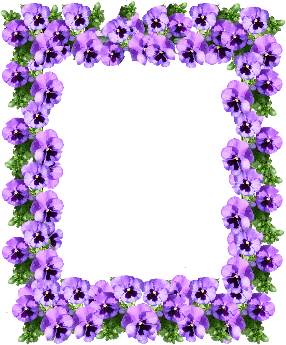 Frame Pansy Floral - Transparent Purple Floral Border (1047x1280)