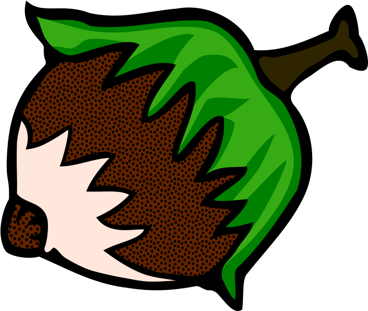 Hazelnut Coloured Clipart Icon Png - Orzech Laskowy Rysunek (800x683)