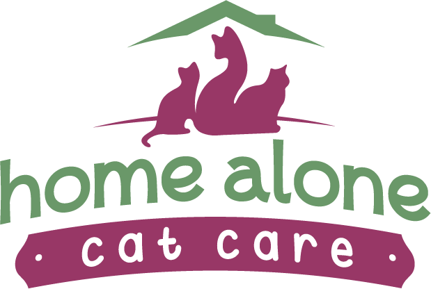 Home Alone Final - Illustration (619x416)