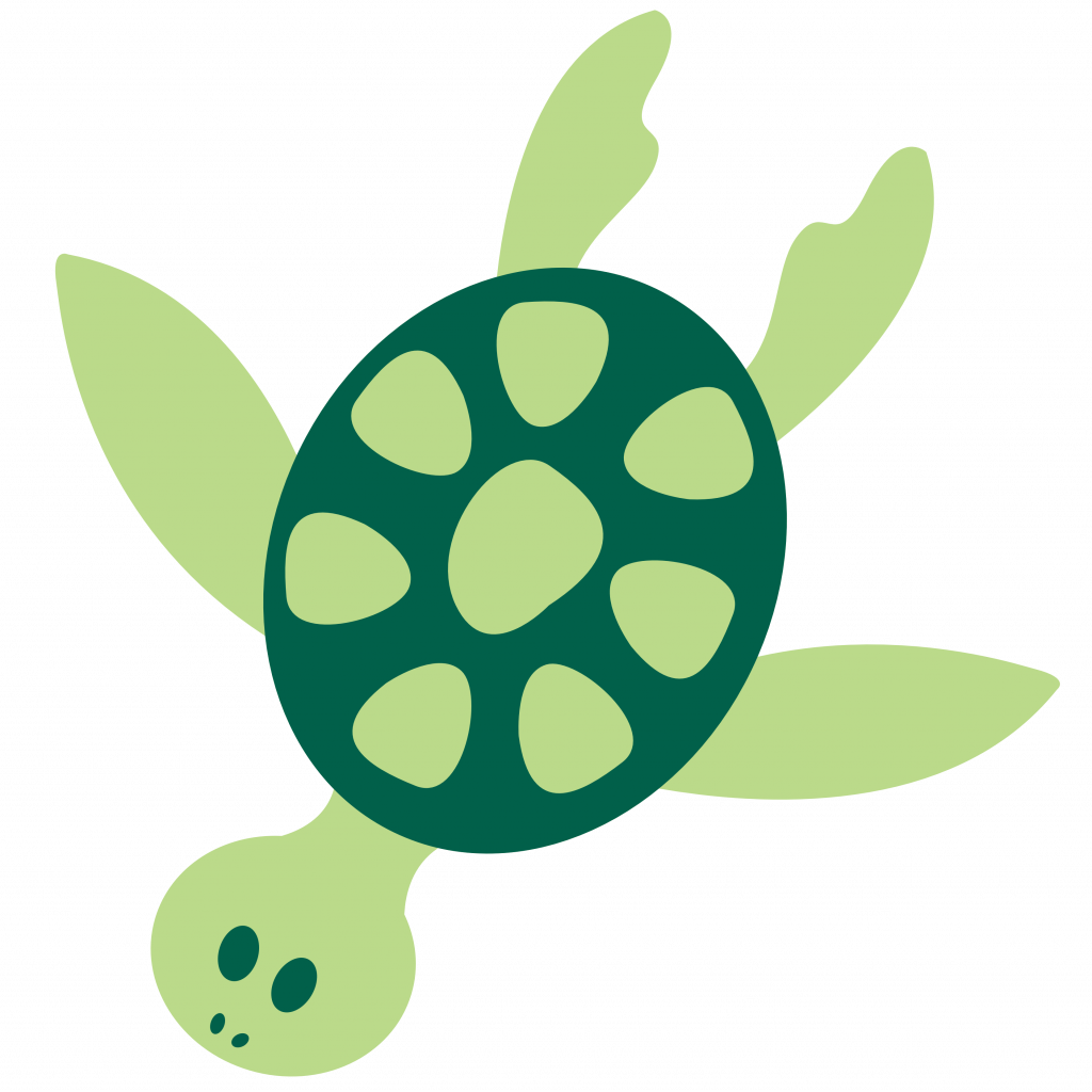Turtle Cartoon Png Transparent - Sea Turtle Clipart Png (1024x1024)