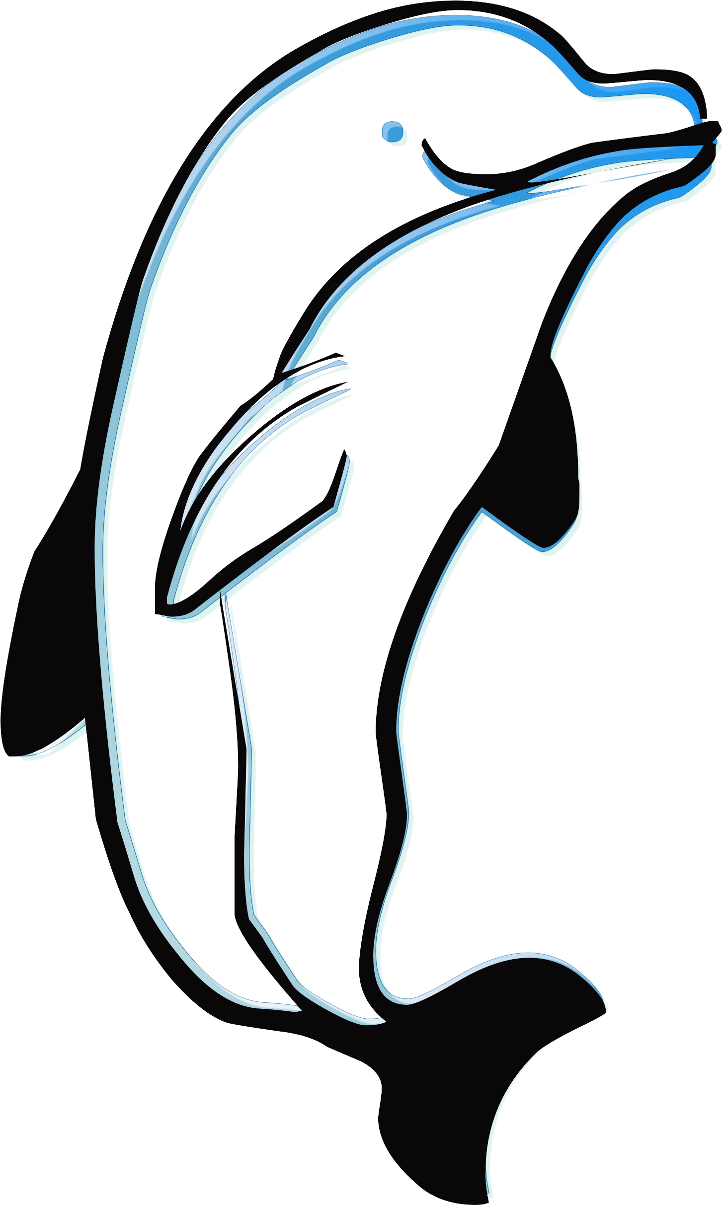 Sea Creature, Graphical, Sea, Fish, Dolphin, Hq Photo - Garis Hewan (1630x2525)