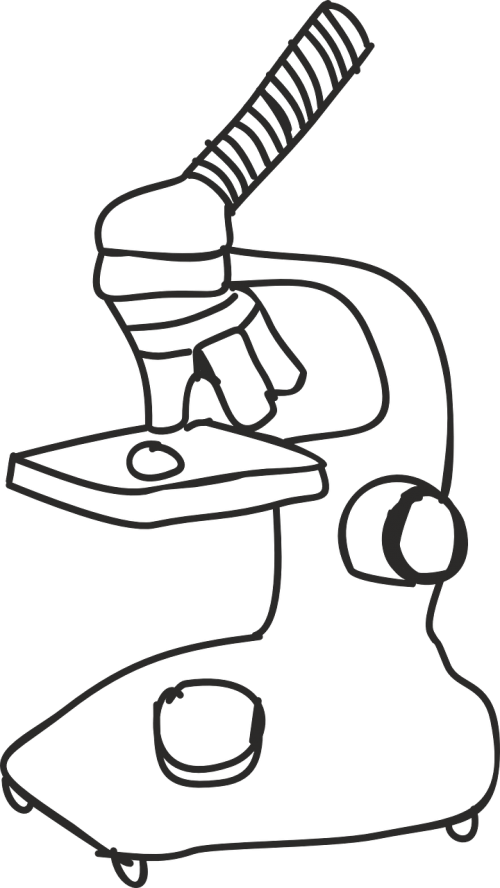 Microscope,the - Microscope Drawing Png (500x888)