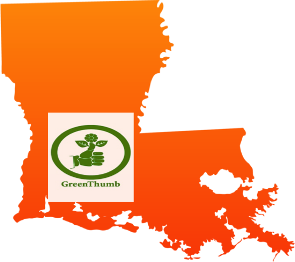 Cajun Green Thumb - Lsu Louisiana (592x526)