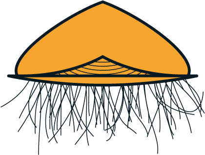 Plankton With Size More Than 20 Mm - Plankton With Size More Than 20 Mm (469x469)