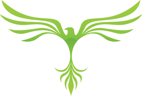 Re Emerge - Re Emerge (493x332)