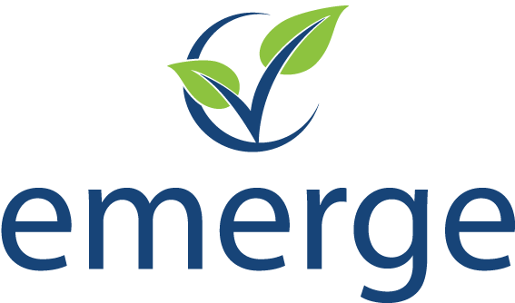 Emerge Leadership Training For Laity - Holistic Chamber Of Commerce (567x334)