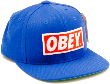 Silly Hat Clipart - Obey Snapback (480x480)