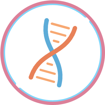 Chromosome Png - Chromosome Icon Png (350x350)