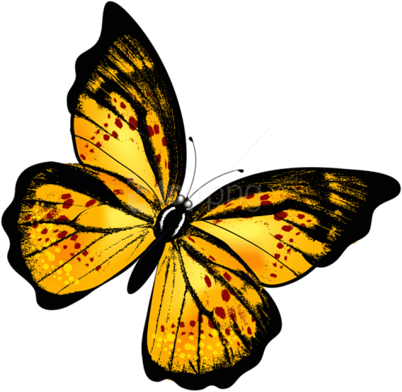 Free Png Download Yellow Transparent Butterflypicture - Clip Art Transparent Butterfly (850x849)